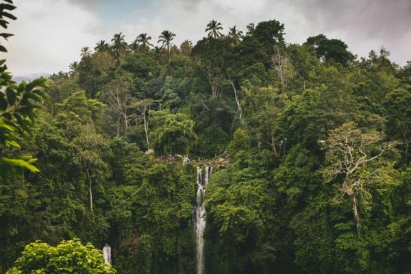 4 Air Terjun Buruan Wisatawan di Bali