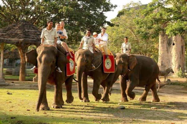 Bali juga memiliki beberapa tempat wisata fauna yang menarik untuk dikunjungi.