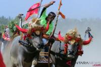 Jadwal Event di Bali sepanjang November 2024, Saatnya Menjajal Bali Barat!