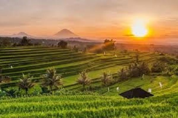 Bali, khususnya Ubud, menawarkan banyak homestay yang Instagramable dengan latar belakang alam yang indah dan desain yang artistik dan suasana yang tenang